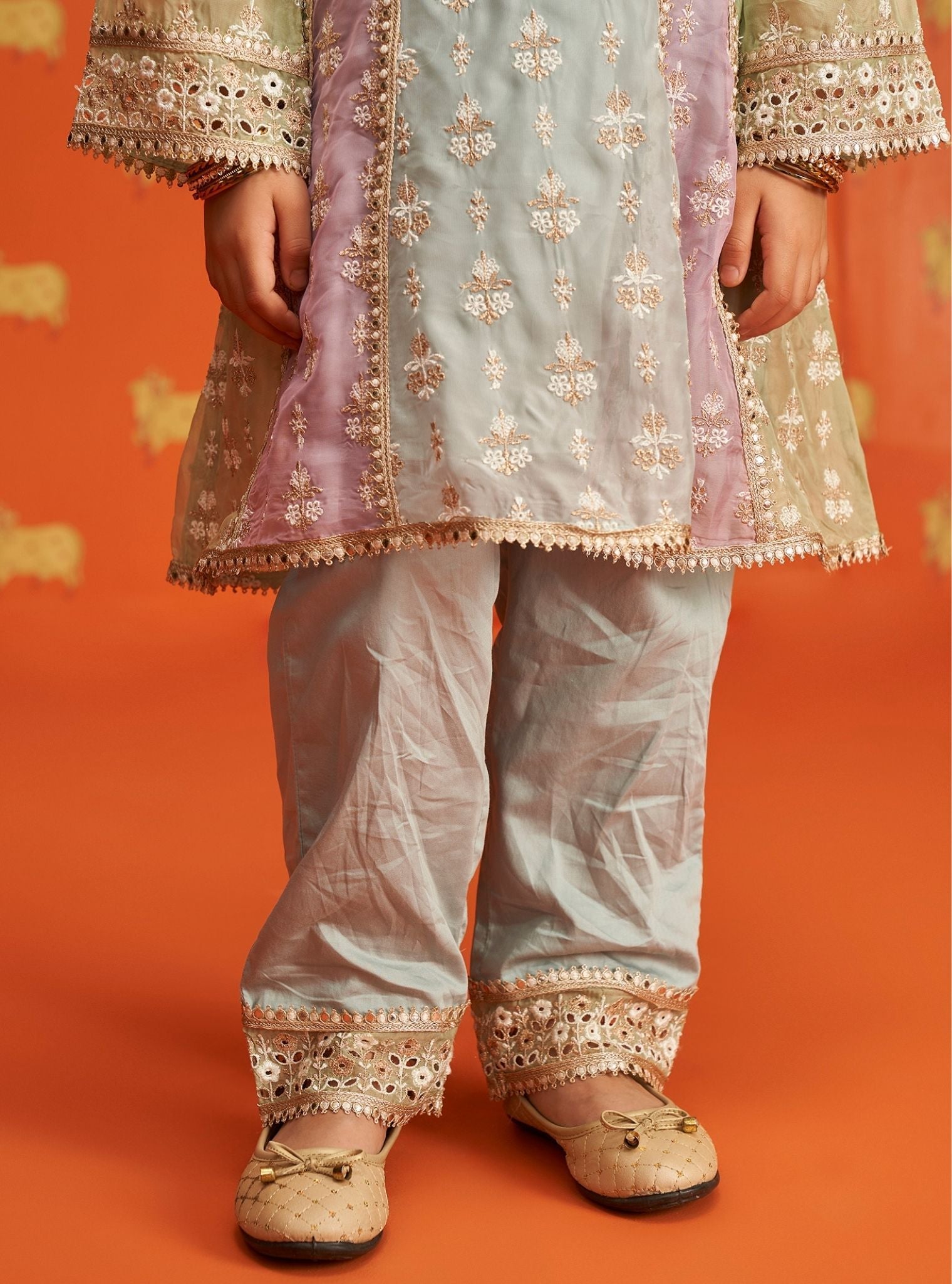 Zina Organza Light Blue Kurta Set