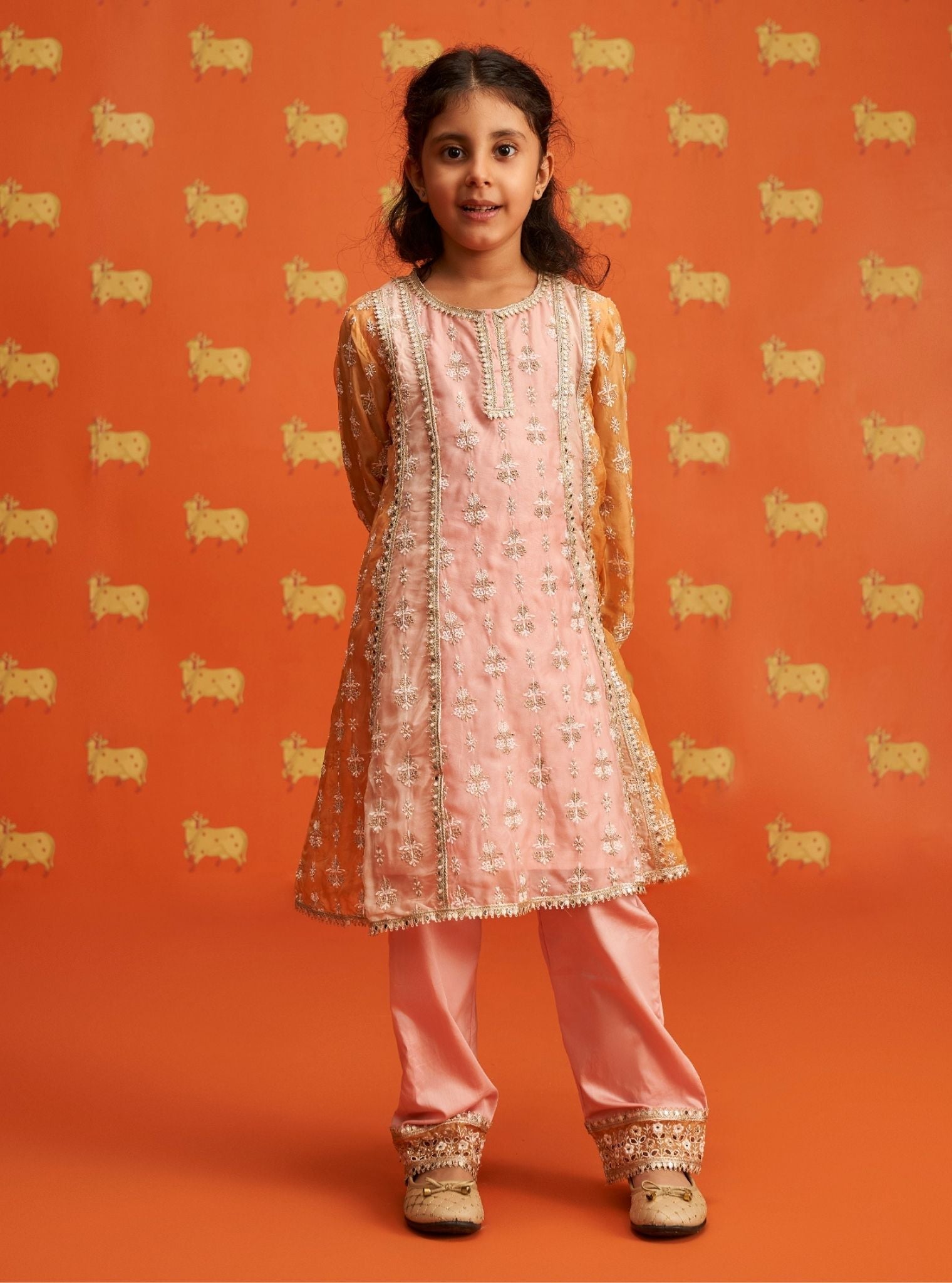 Zina Organza Pink Kurta Set