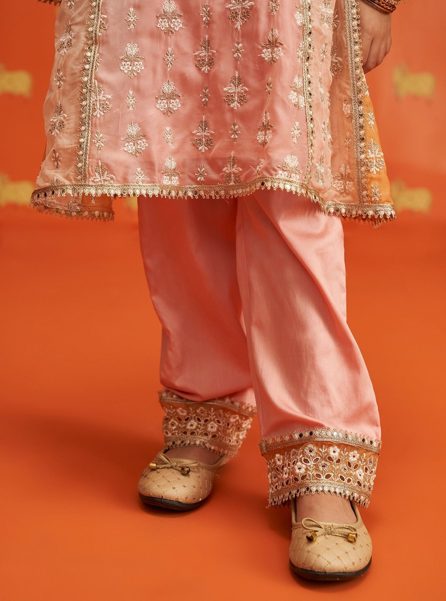 Zina Organza Pink Kurta Set