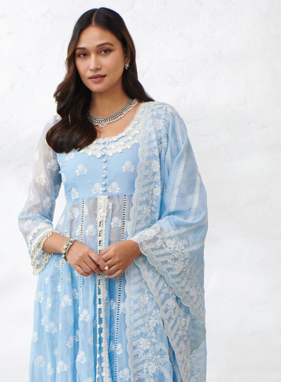 Mulmul Organza Glamorgan Blue Dupatta