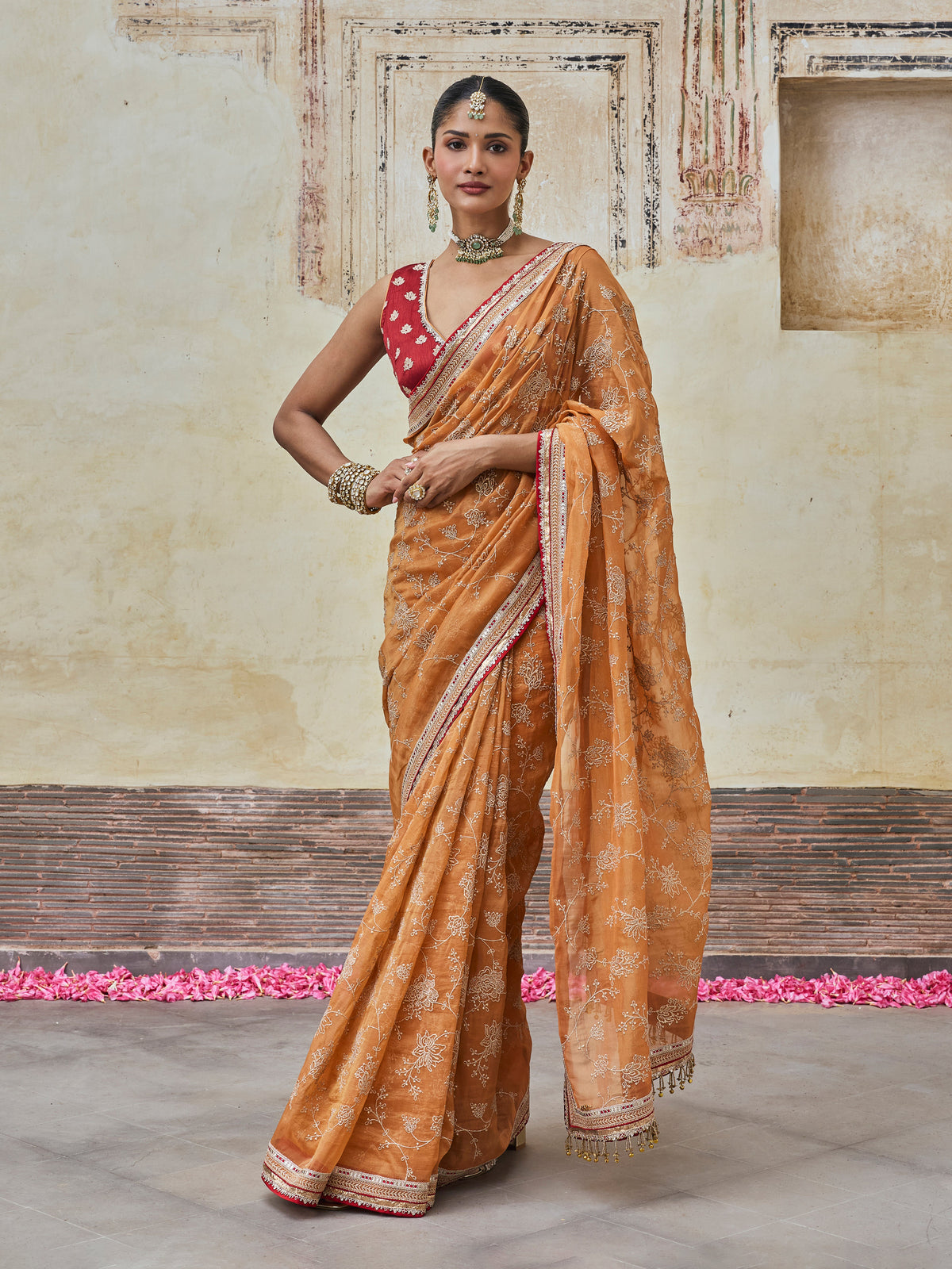 Parthi Lurex Organza Orange Saree with Raw Silk Blouse