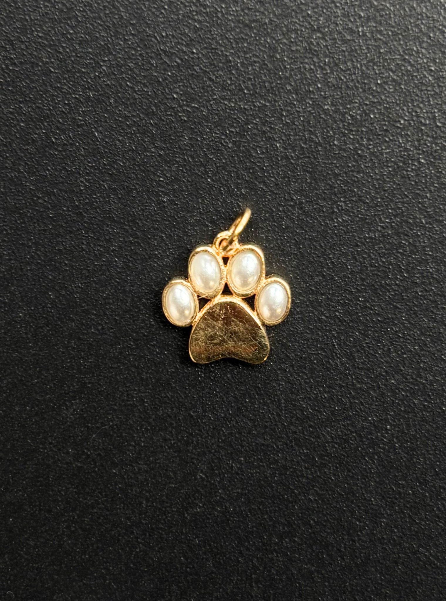 Paw Charm